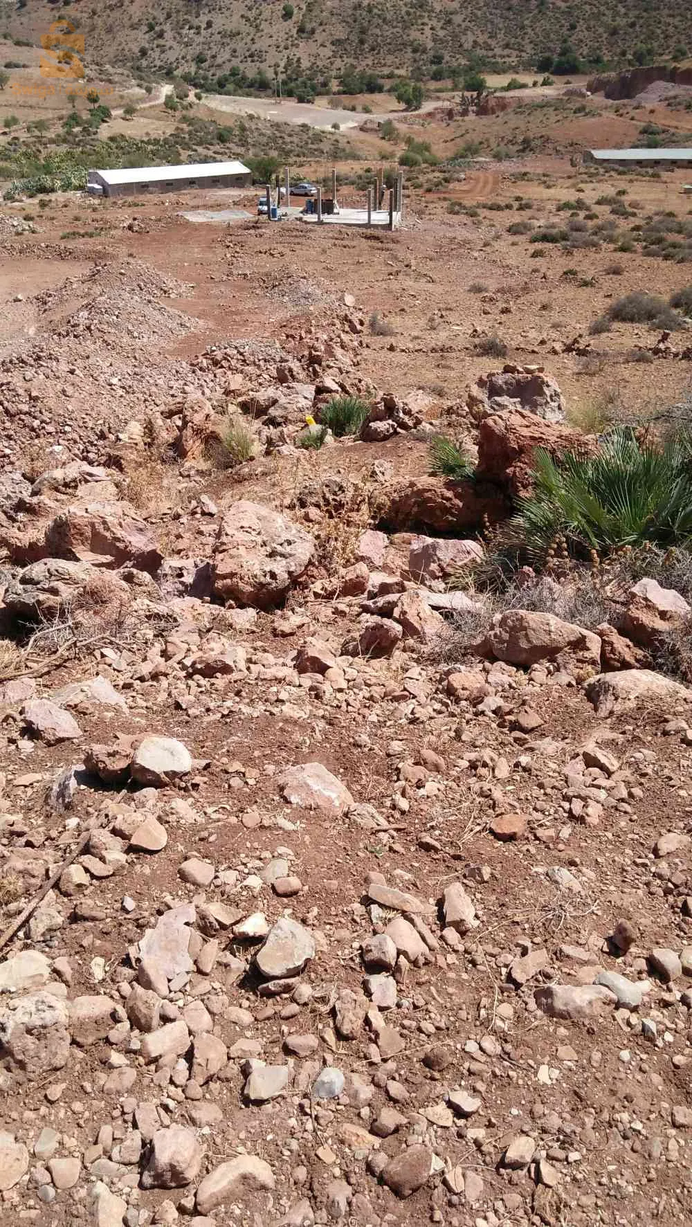 بوجليدة حي عبد المومون بن علي