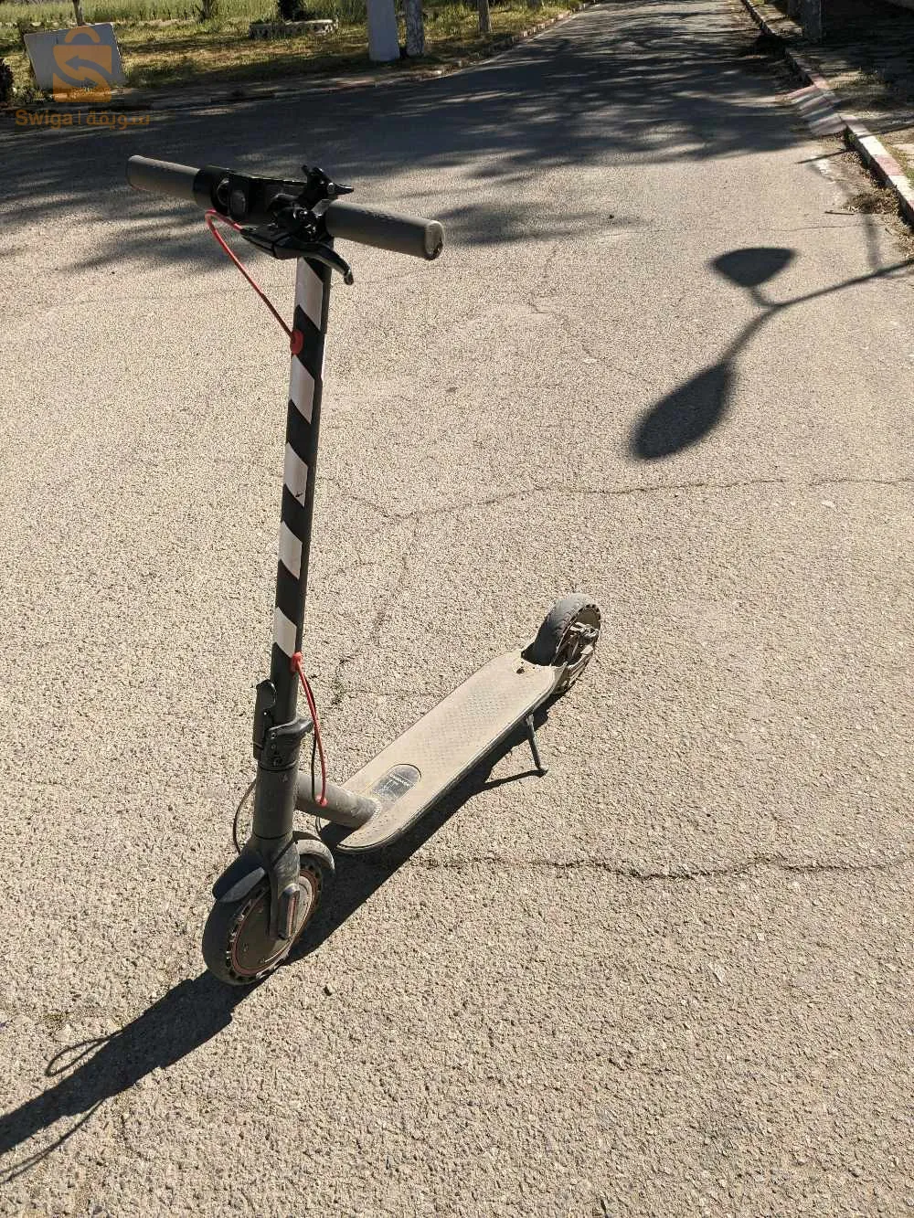 تروتينات للبيع