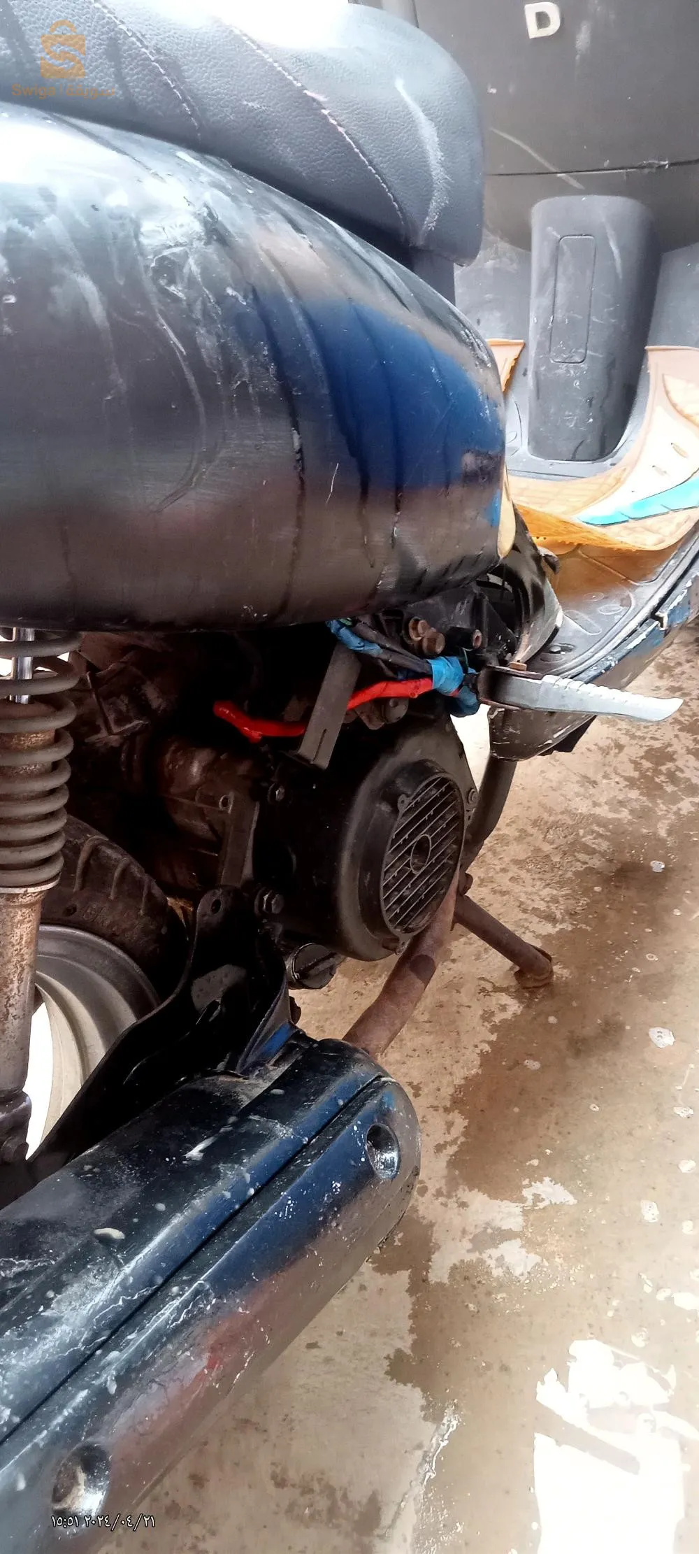 وهران ارزيو