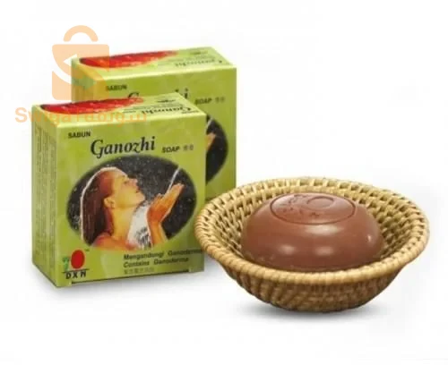 ولاية المغير