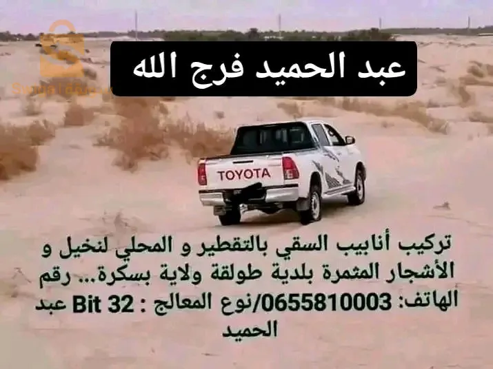 طولقة ولاية بسكرة