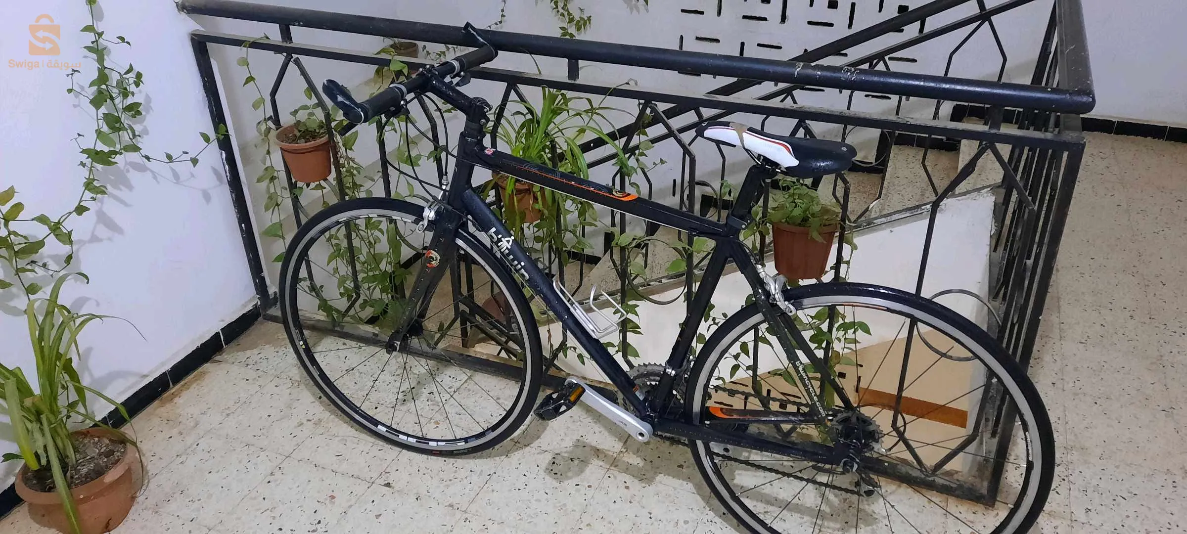 Vélo demi-course