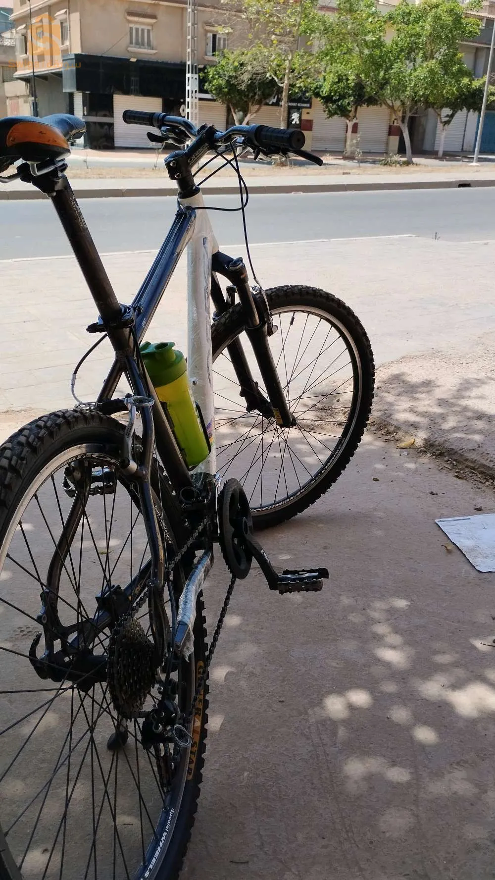 ORBEA 26
