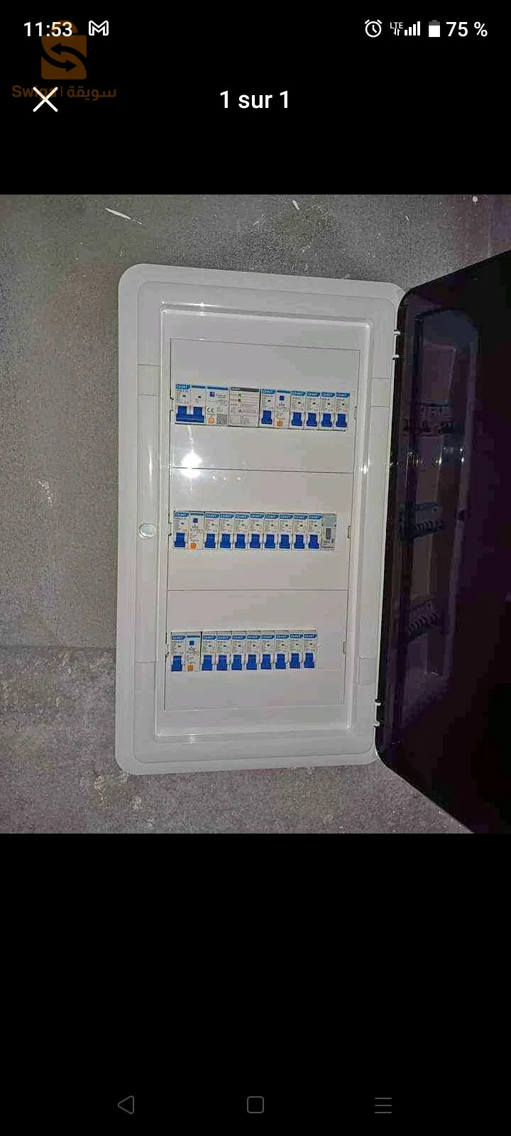وهران