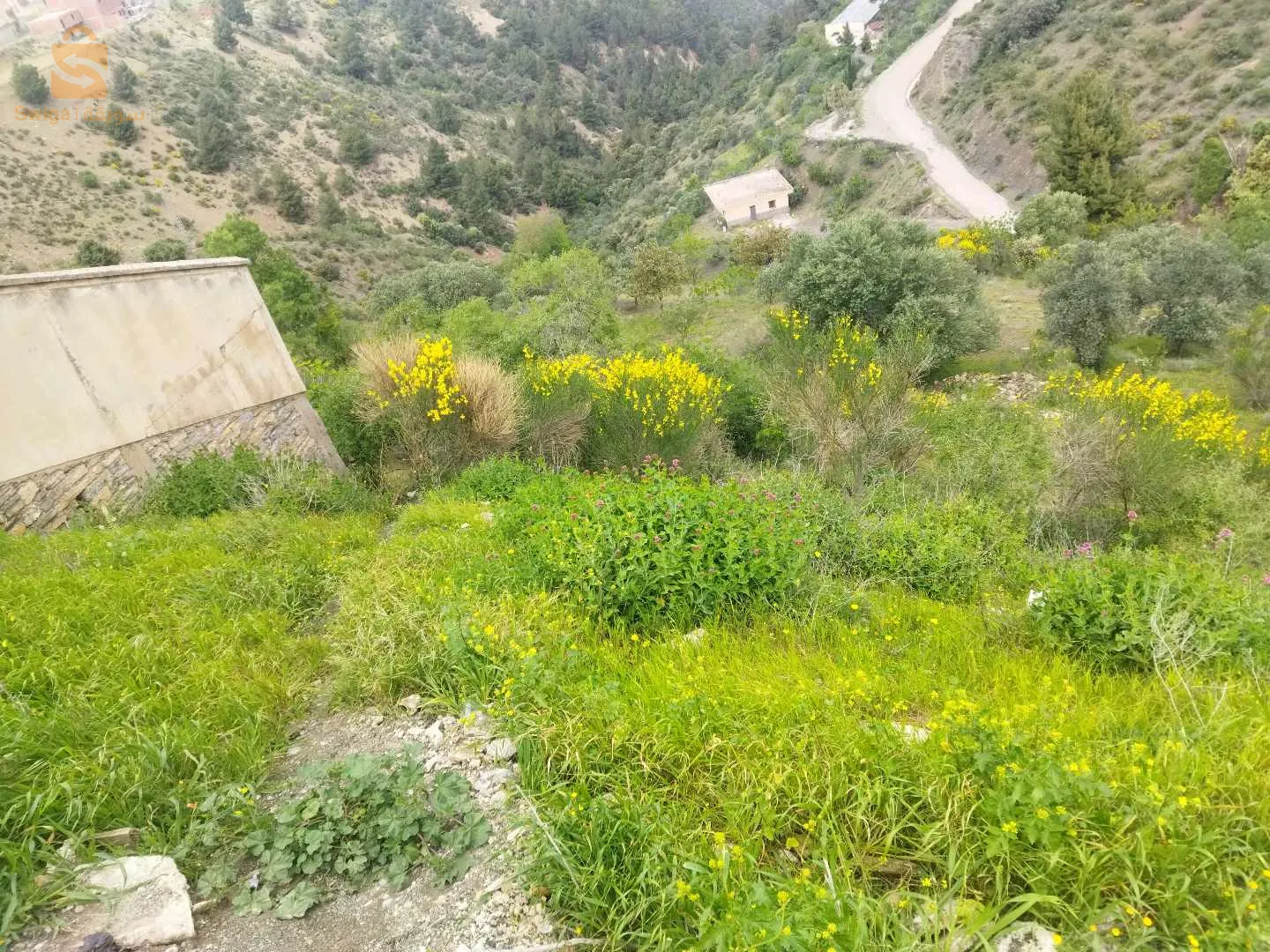 Terrain a beni ourtilene avec acte notarié place commercial bon place 4128