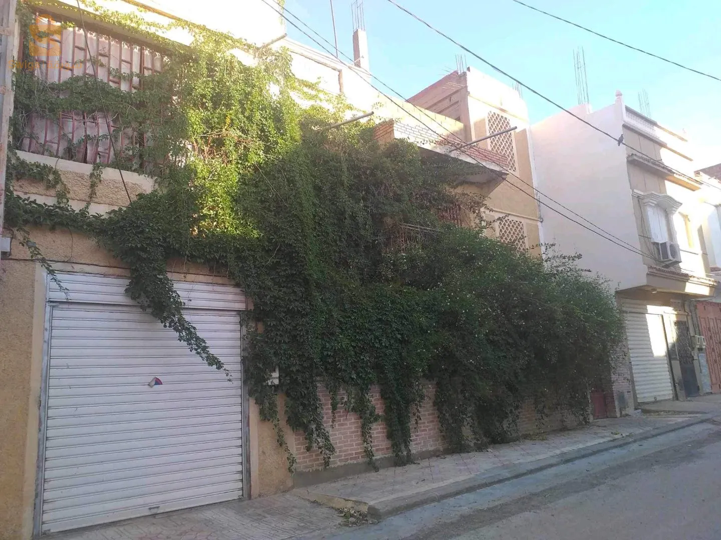 خنشلة
