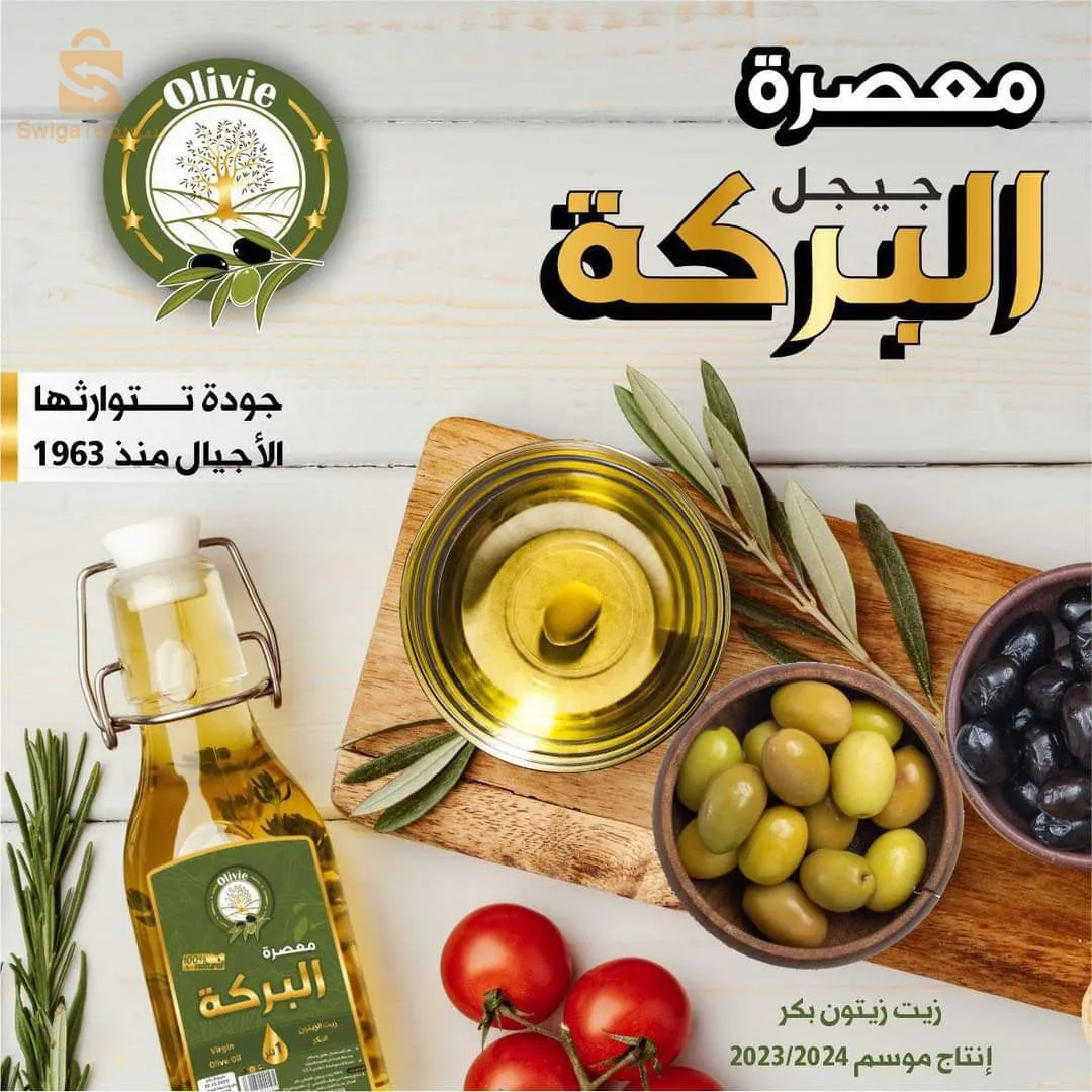 زيت الزيتون انتاج نوفمبر 2023