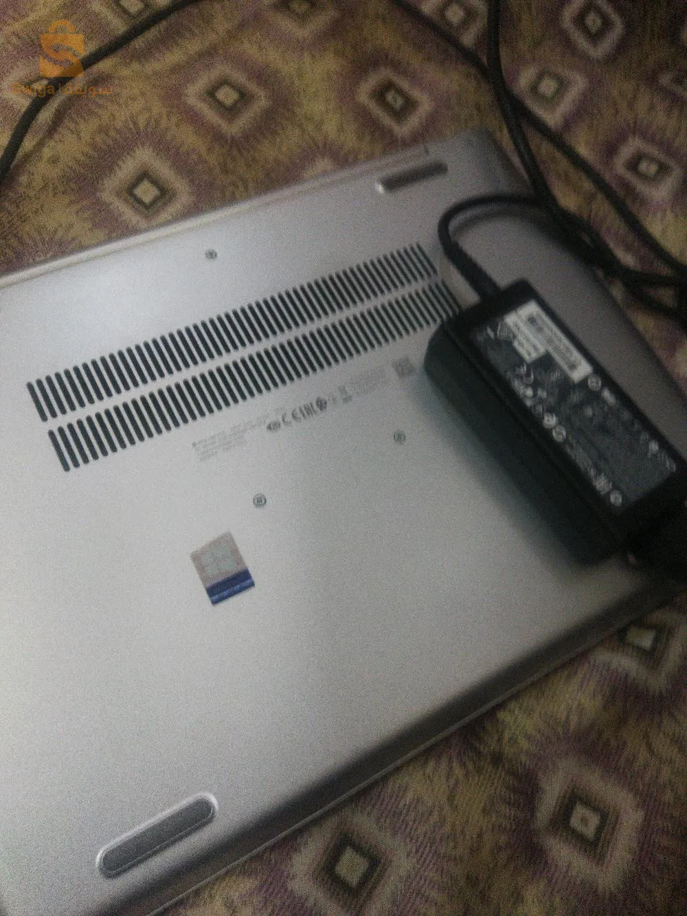 سيدي مزغيش سكيكدة