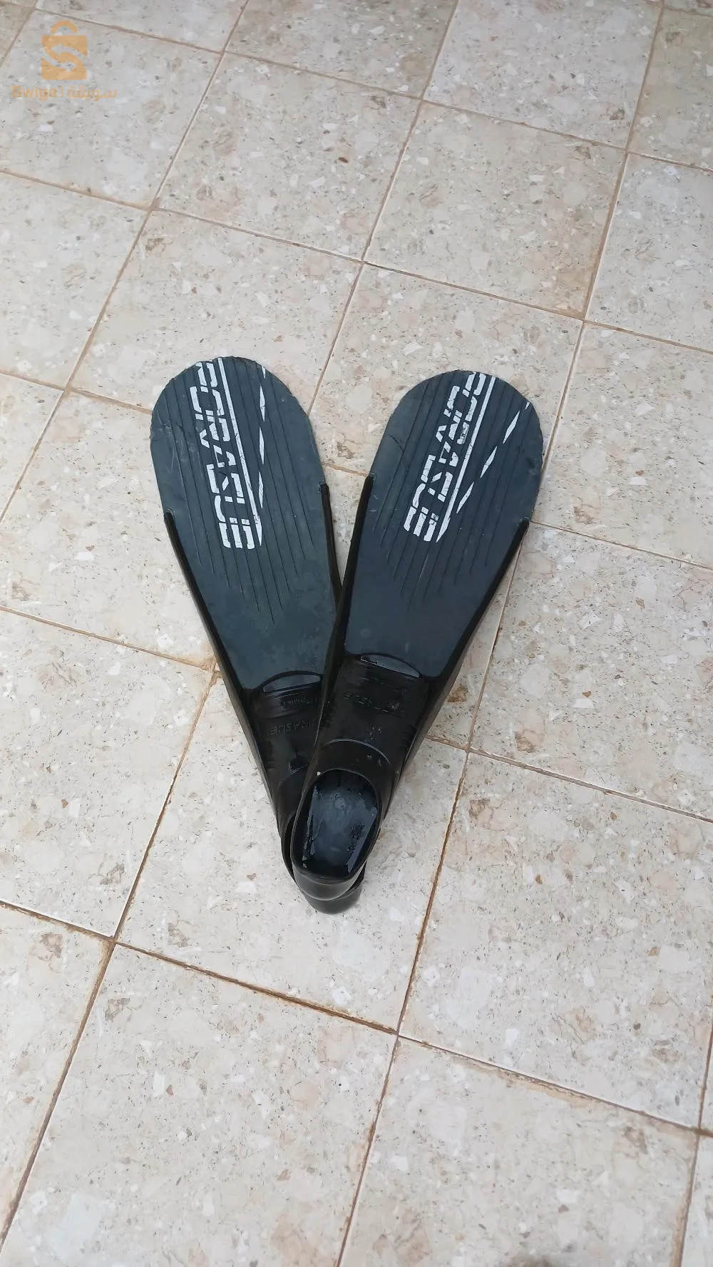 زعانف بحرية