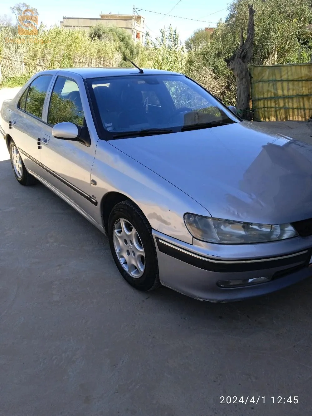 عشعاشة مستغانم