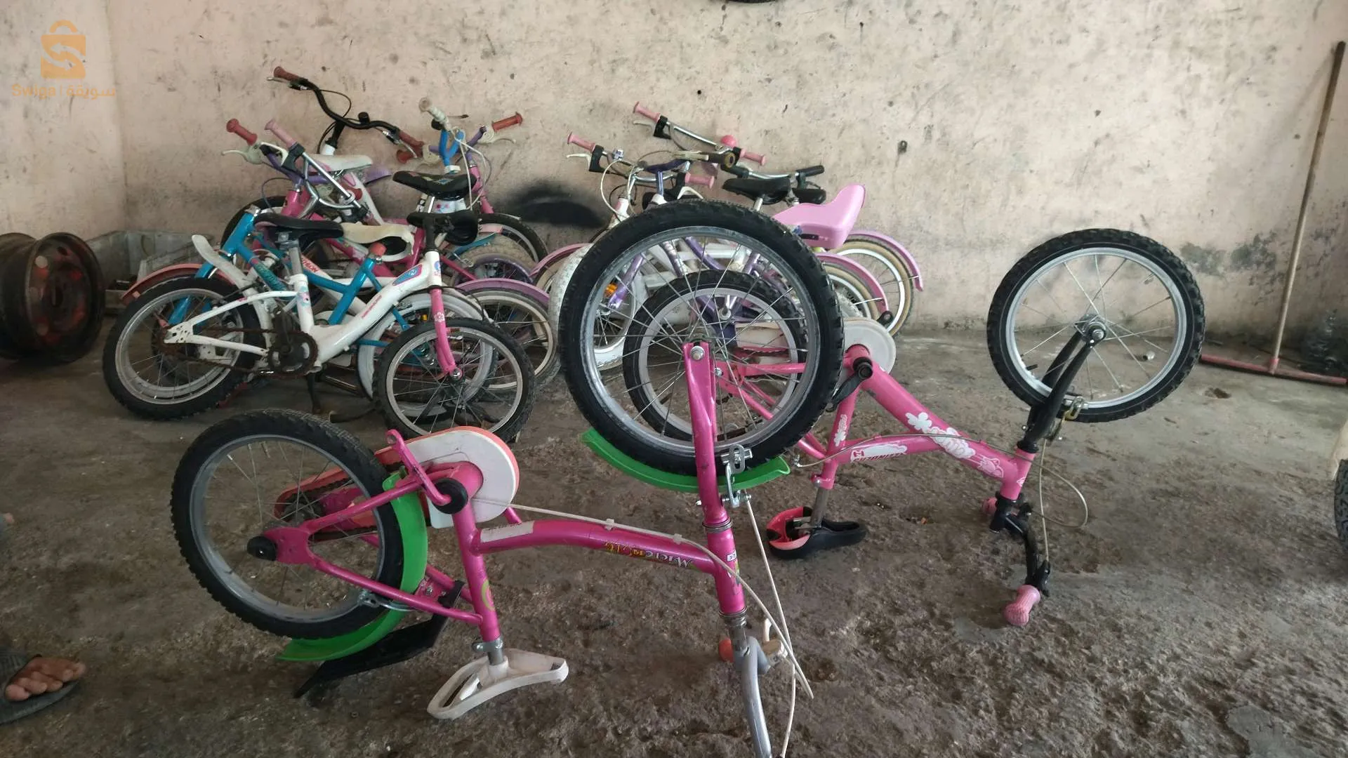 فيلو كابا ww