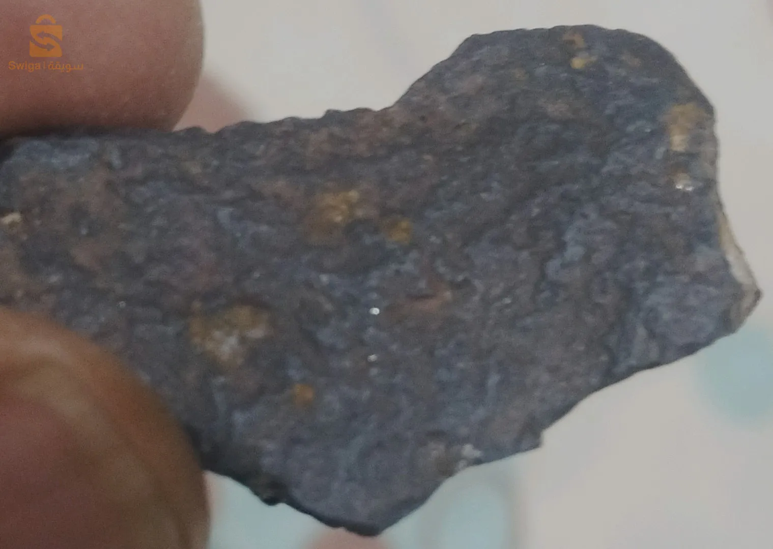 météorite trouver dans le Sahara au alentour de Béchar.