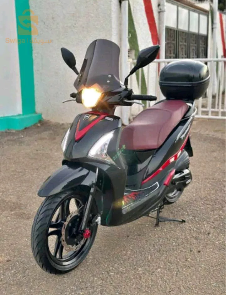 متواجدة في طرواكاف الحراش