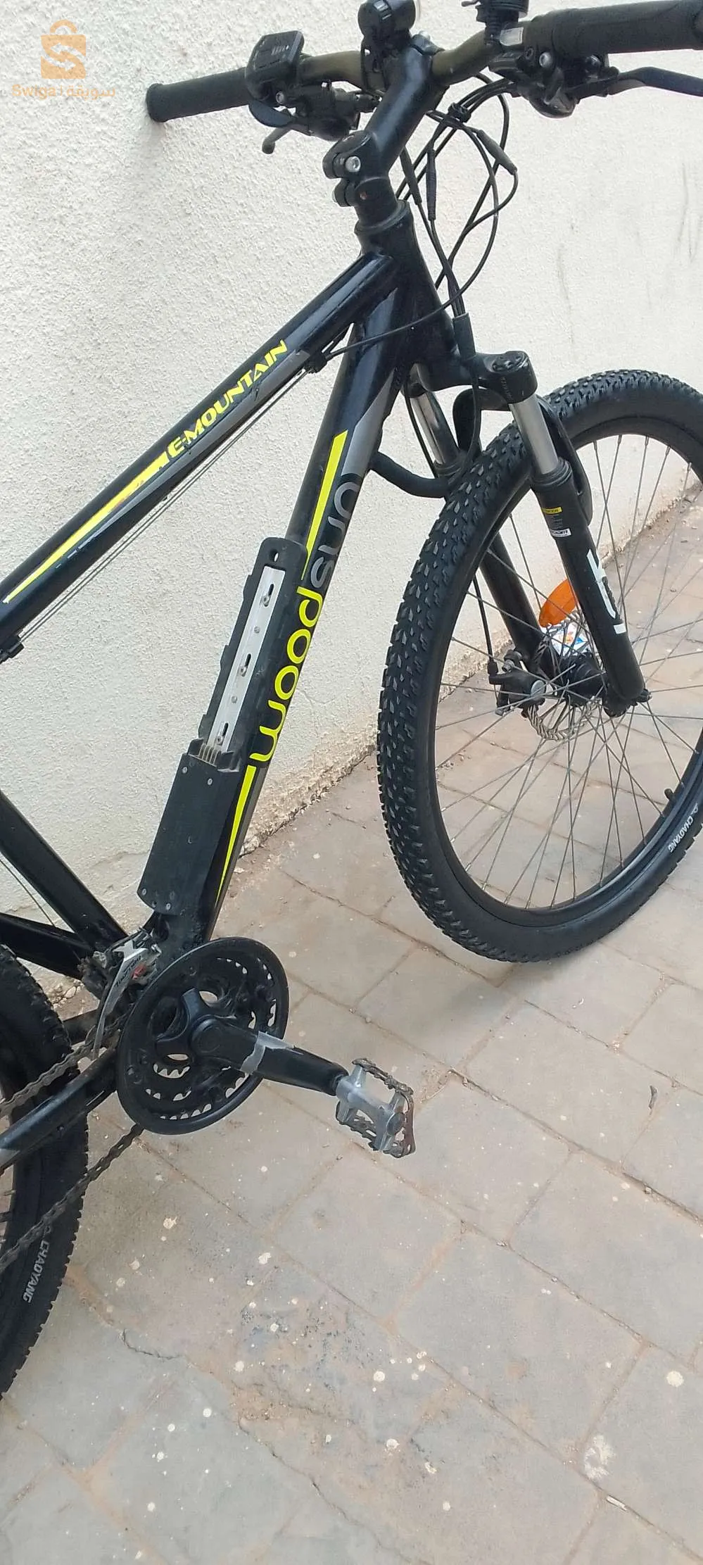 حاسي ماماش مستغانم