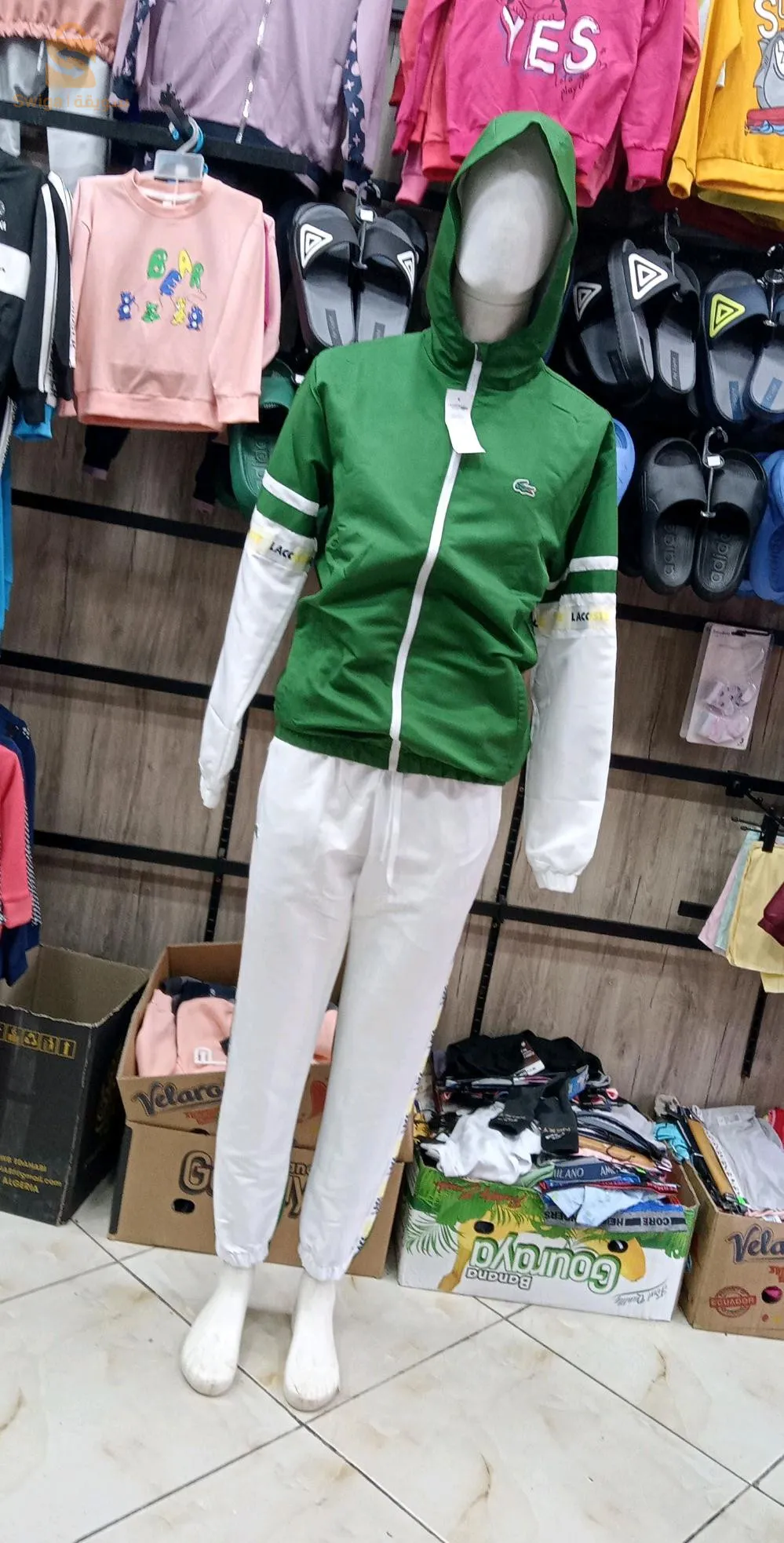 سيرفات صولد حبات لخرين.كاليتي شابة