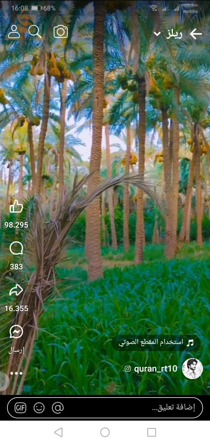 طولقة ولاية بسكرة