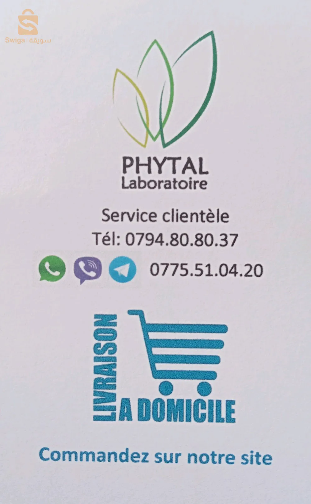 Vitamine C en poudre d'origine végétale