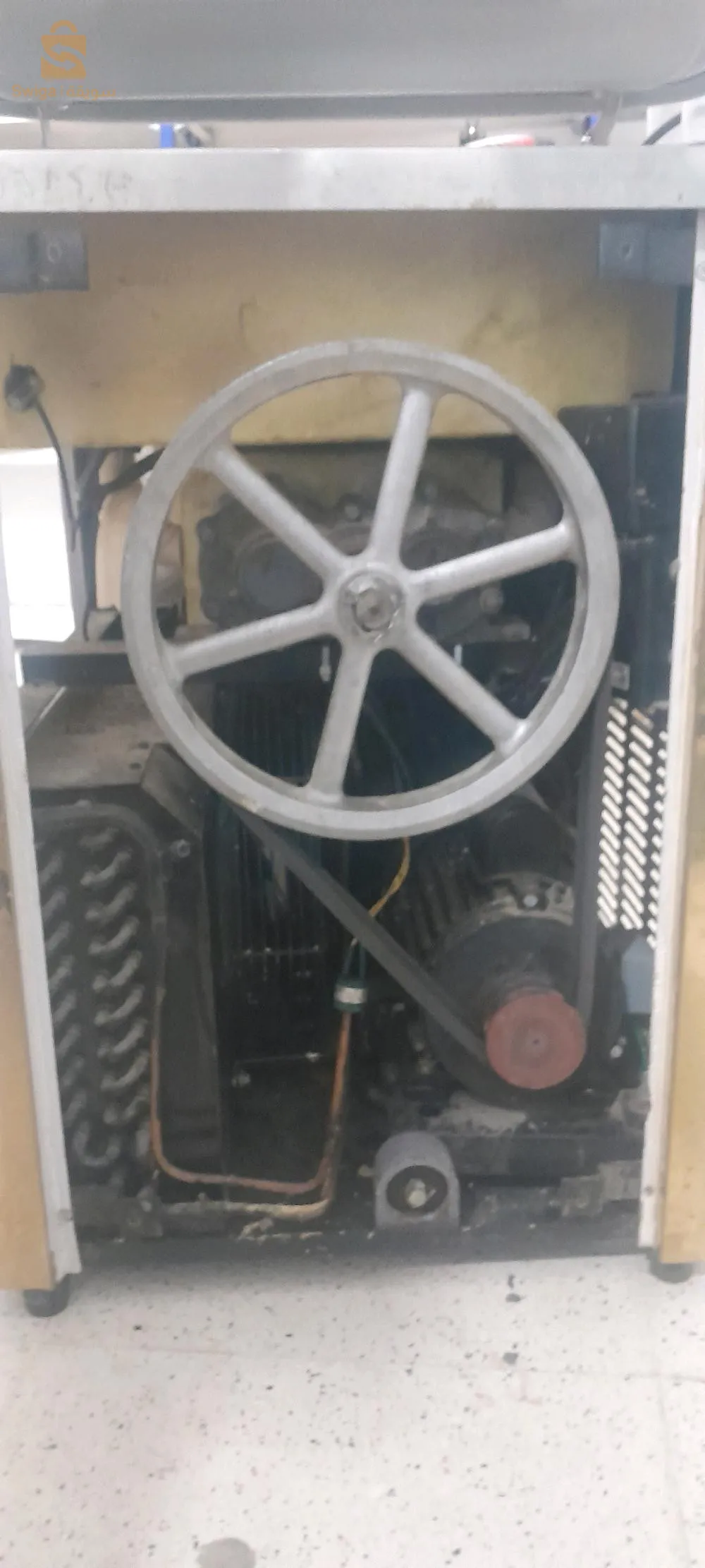 الجزائر ولاية شلف بلدية المرسى ( القلتة)