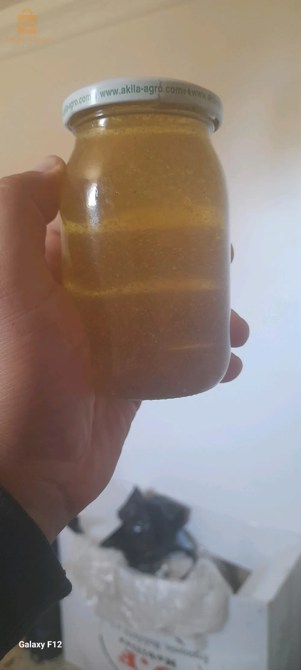 صور الغزلان