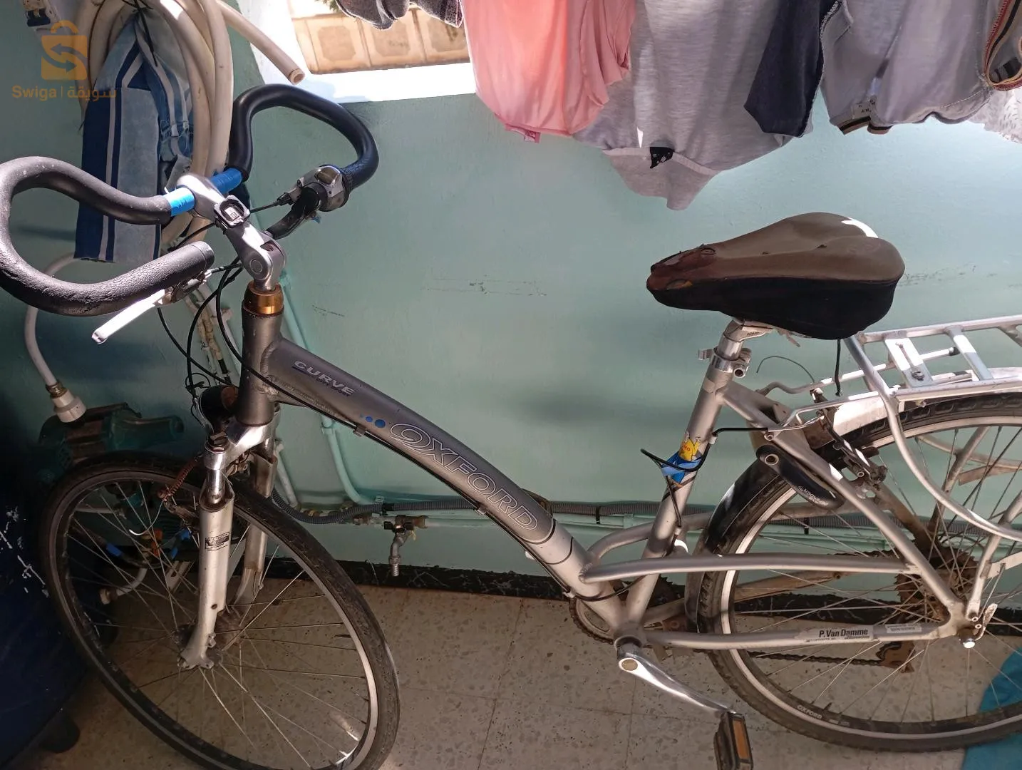 تنس ولاية شلف