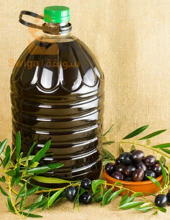 الزيت الزيتون الأخضر صافي البساتين تلمسان من الشجرة إلى الحجر وعلى البارد وتقليدي النوع الأول العصرة الأولى