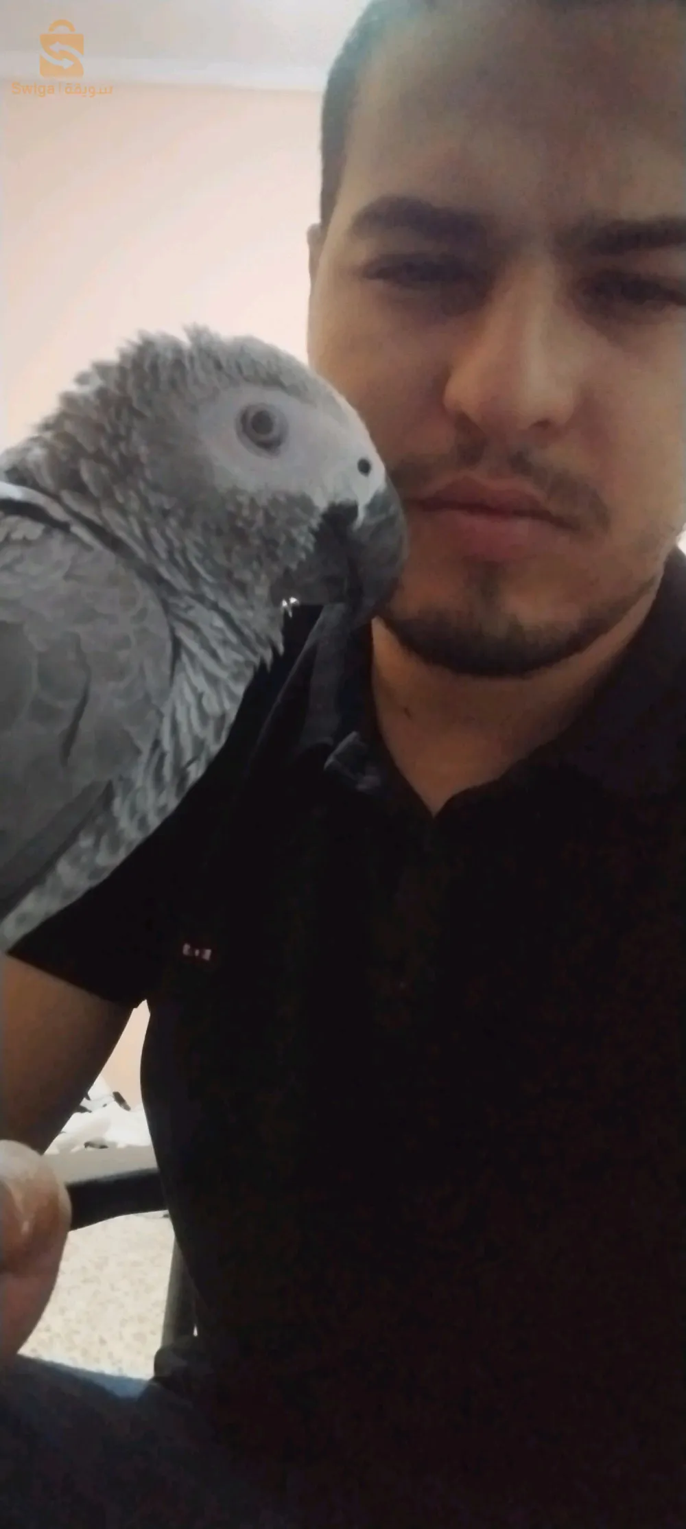 0662589463