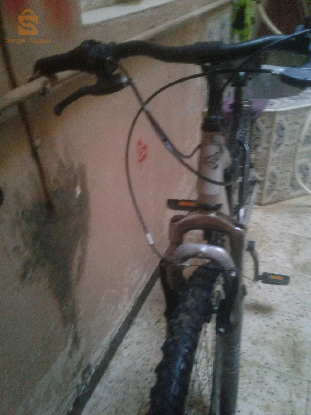 فيلو تع زوالي