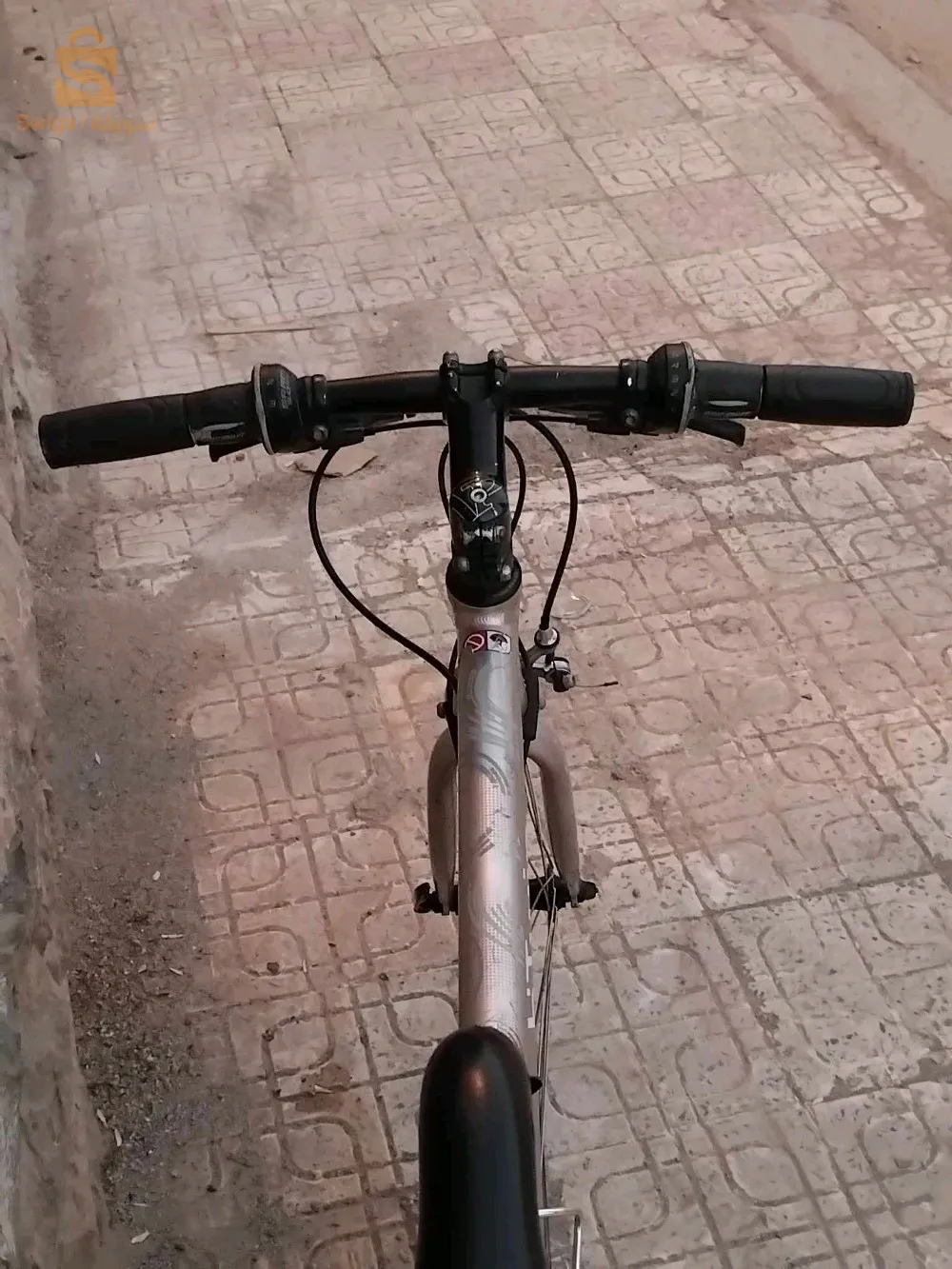 دراجة   ما شاء الله cours Bitwin