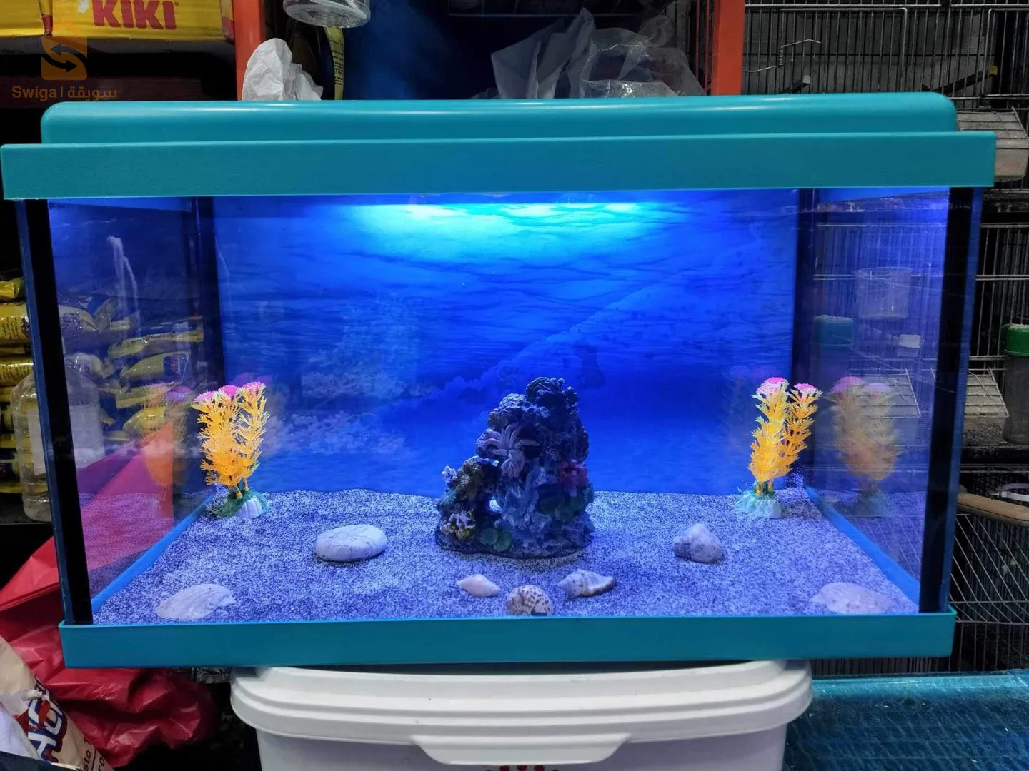 احواض مزروعة و اسماك بكل انواعها