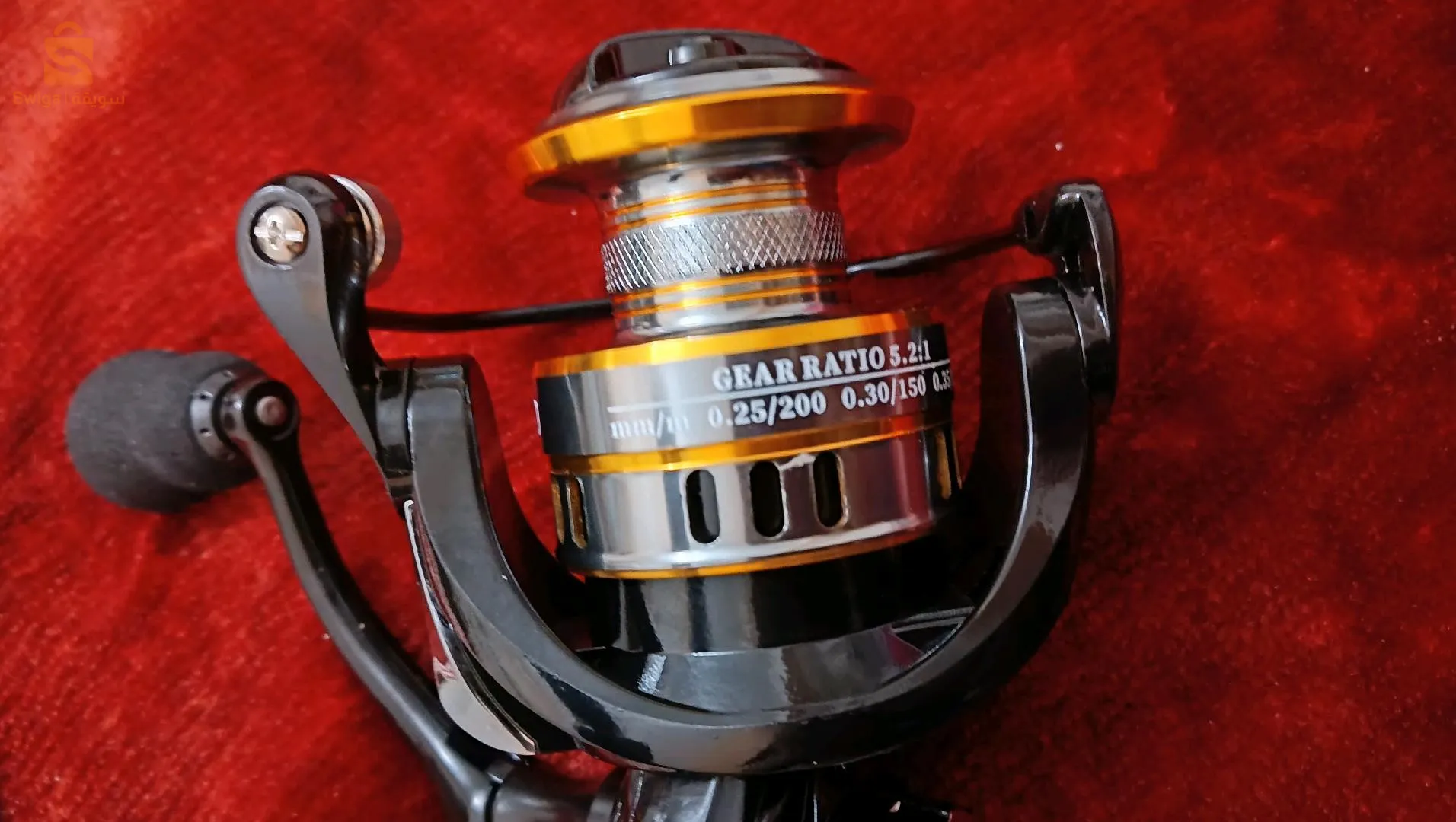 عين الدفلى مركز