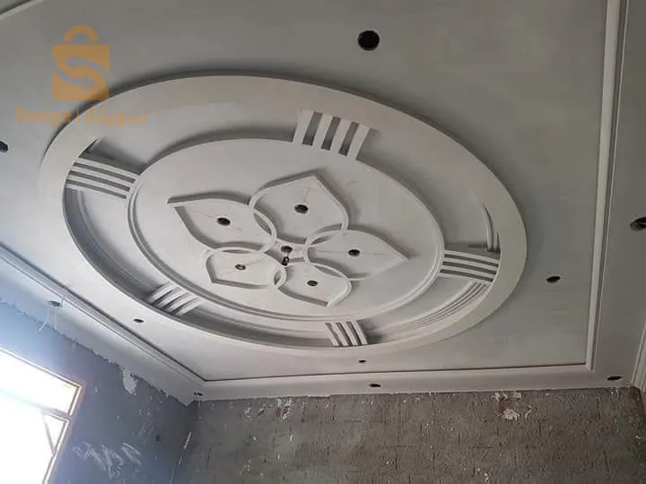 فنان دقة في العمل