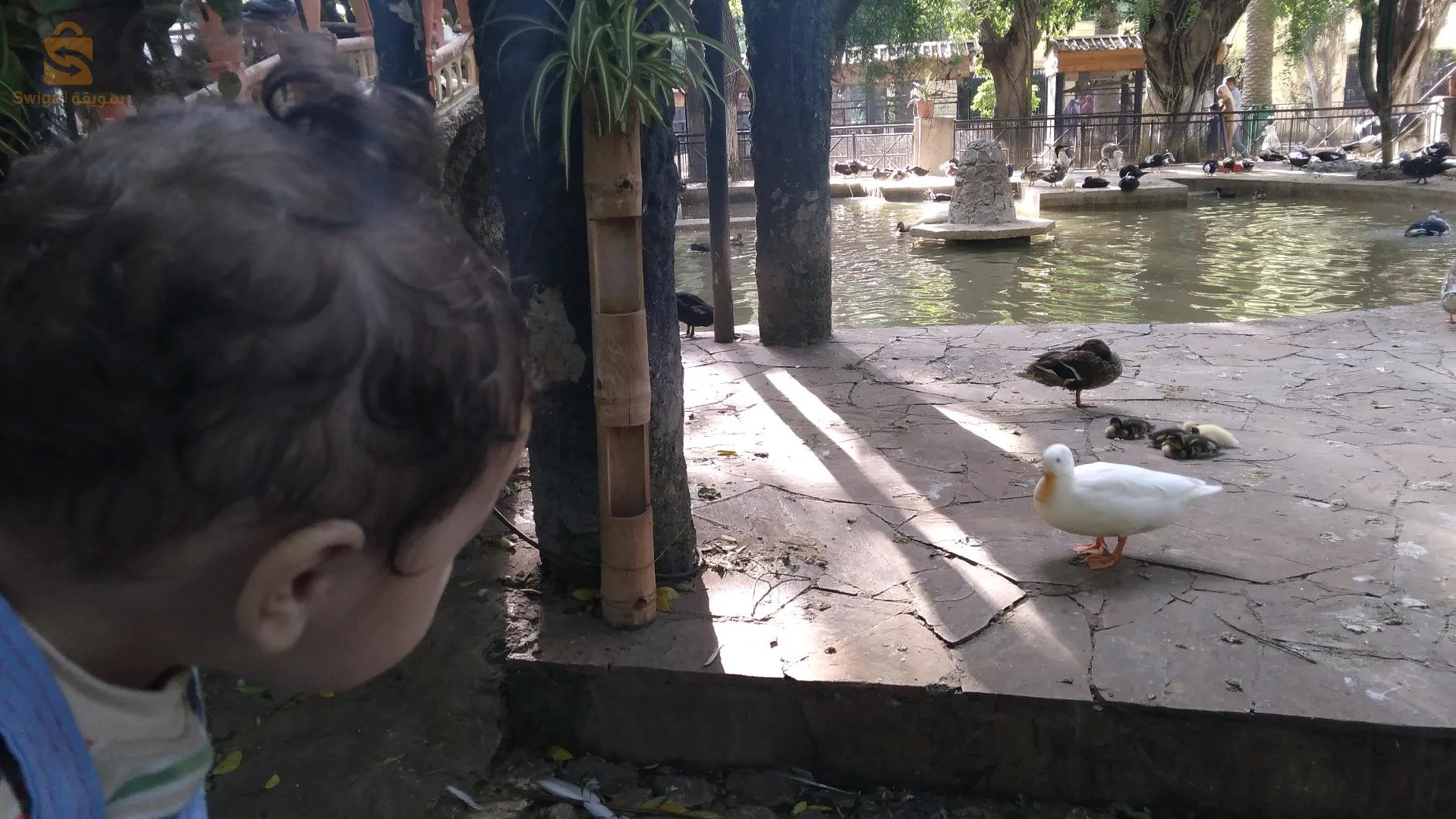 بيع منزل بطابقين