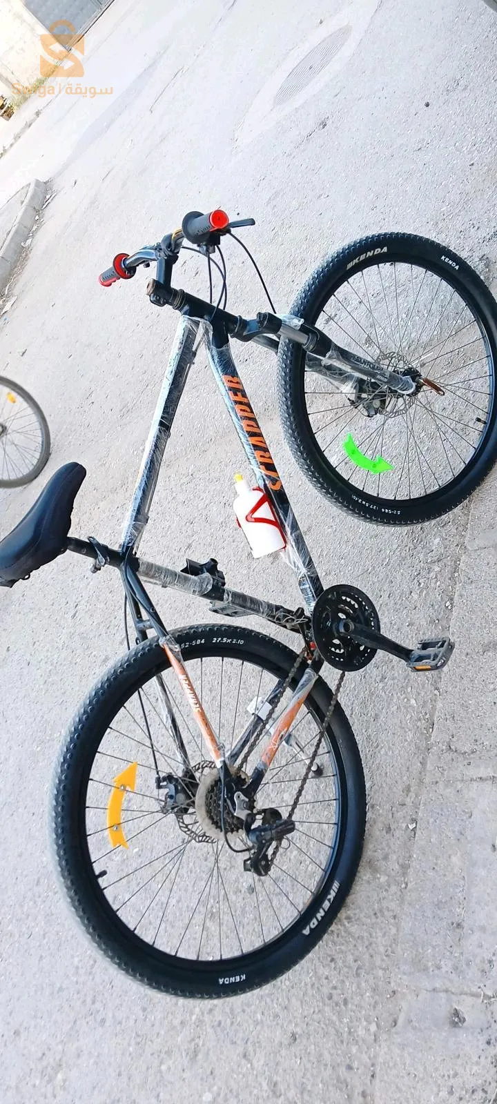 فيلو نقي سكرابور