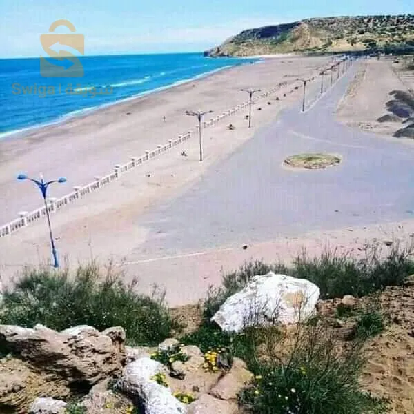 عشعاشة مستغانم