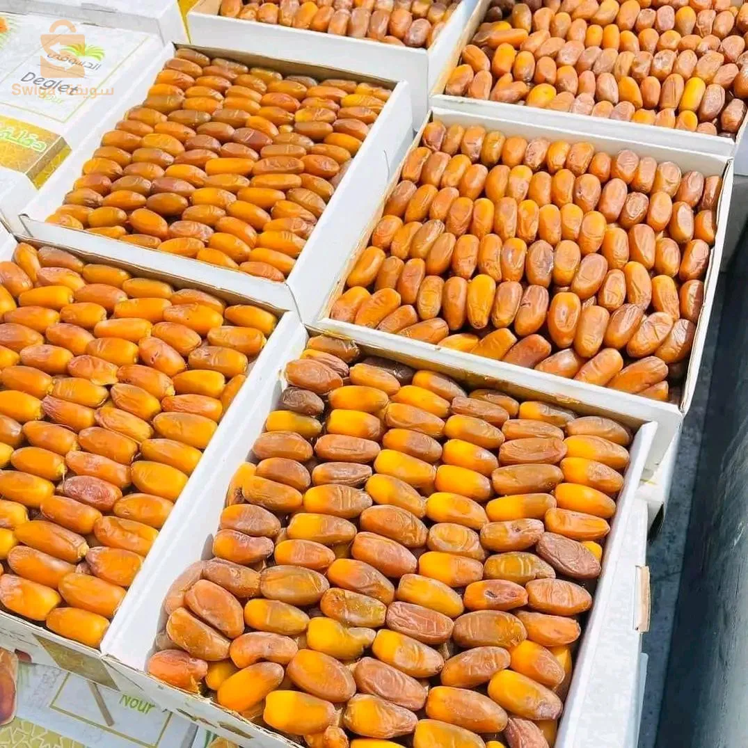 شركة التمور