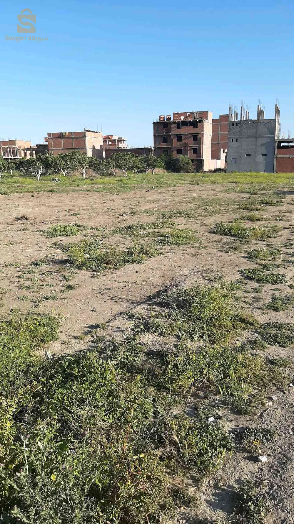 ✅ 7 قطع أرض للبيع صالحة للبناء في ولاية البليدة