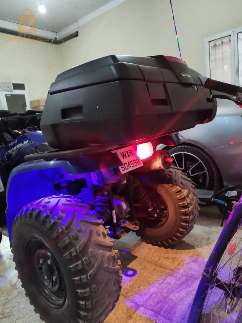 quad Yamaha Grizzly
