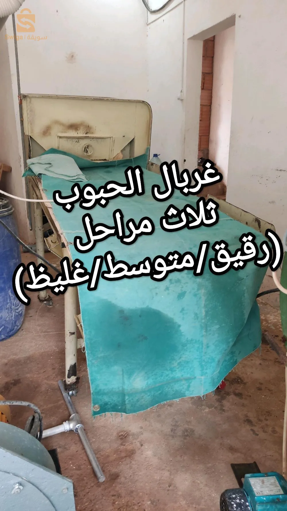 بلغنم غرداية
