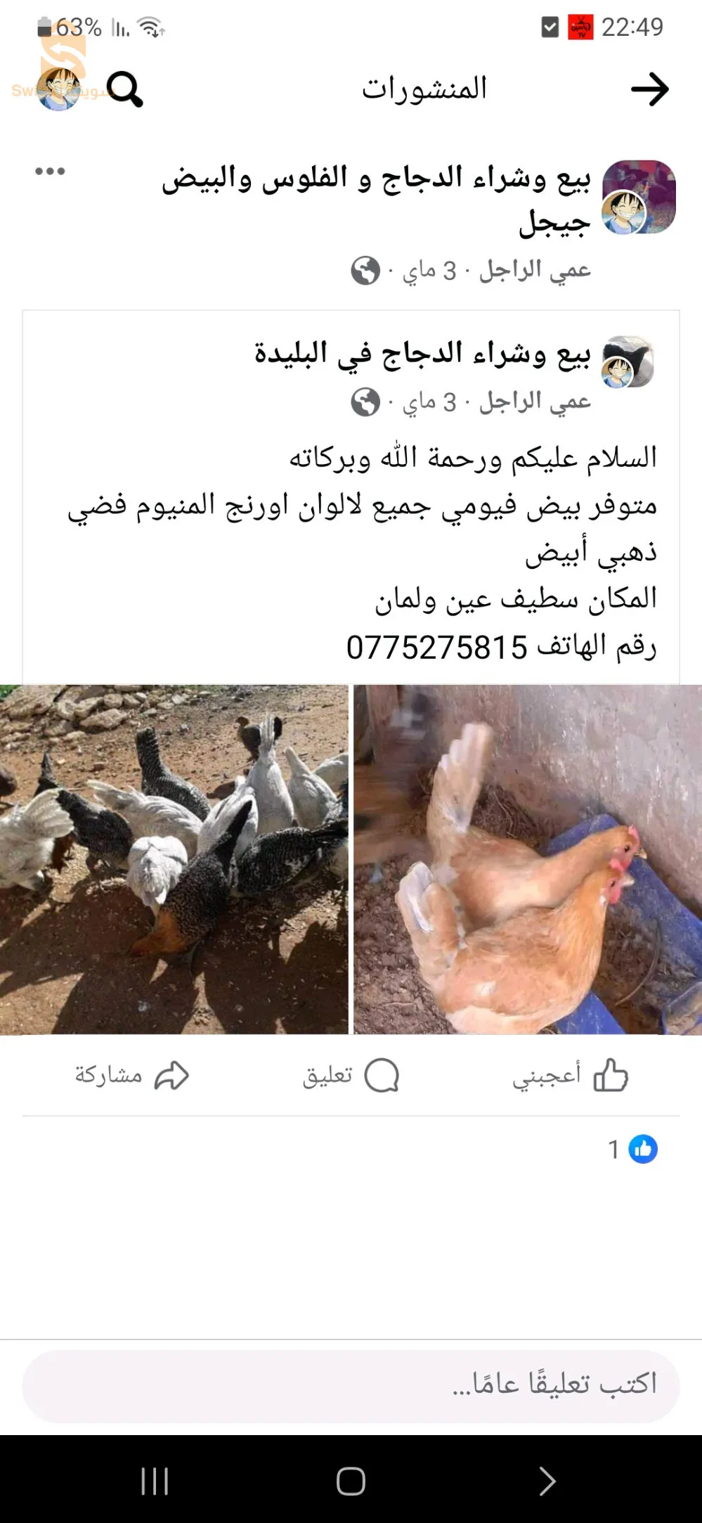 سطيف عين ولمان