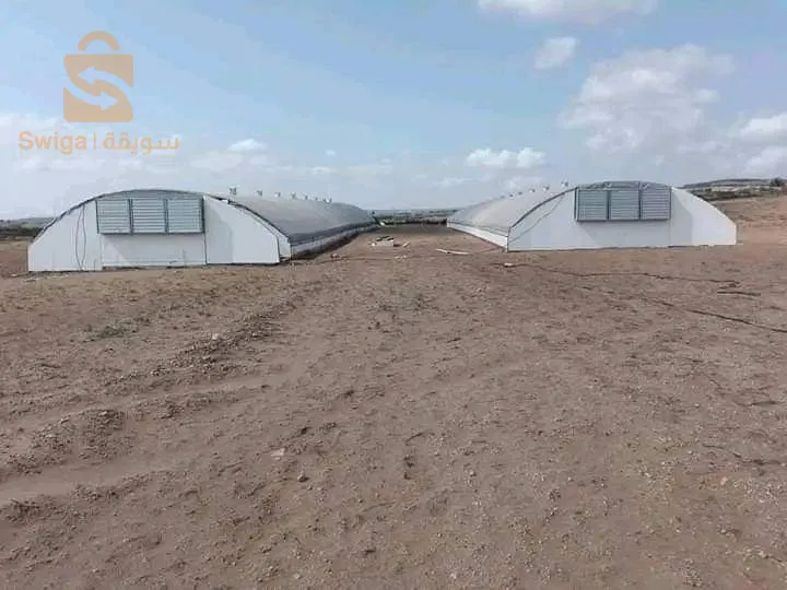 بيع بيوت بلستكيا جاج و خضر معا كل إمكنيات توصيل