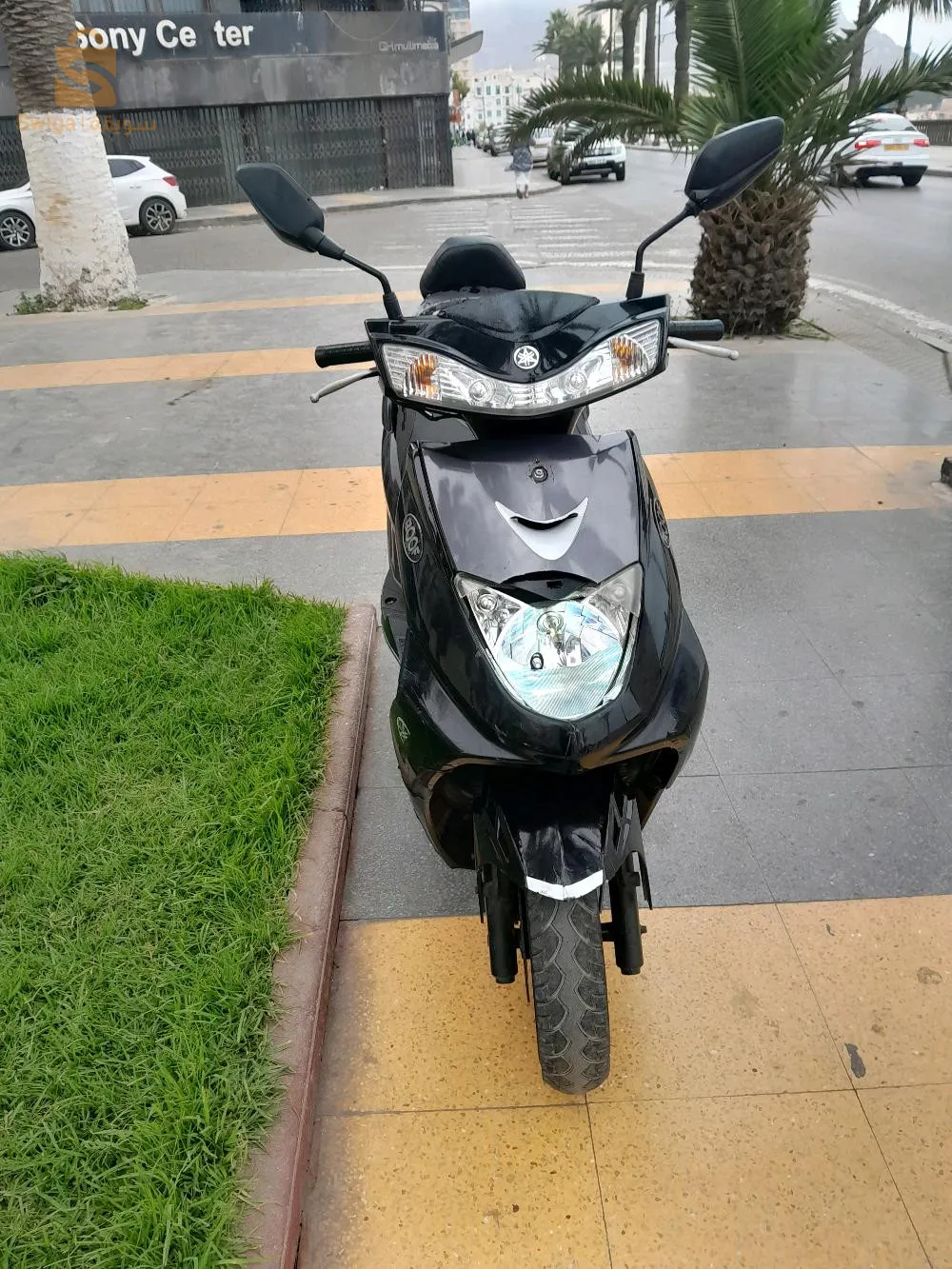 oran ولاية وهران