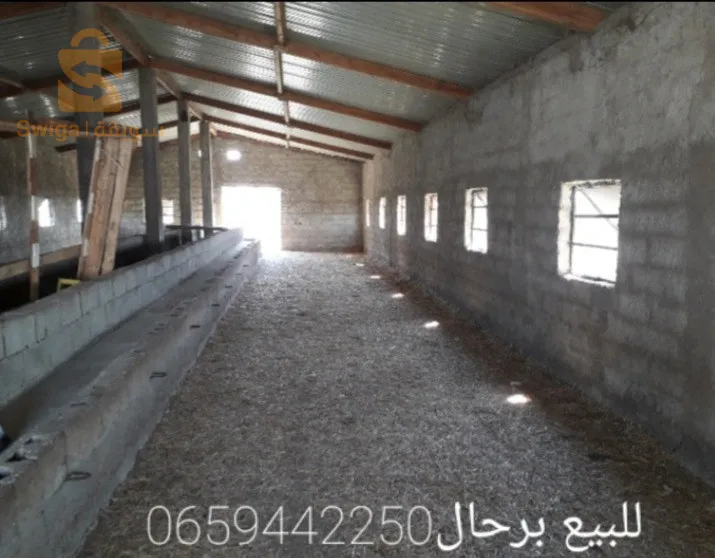 برحال