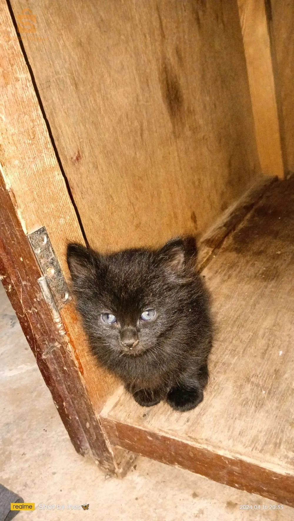 ثنية المخزن