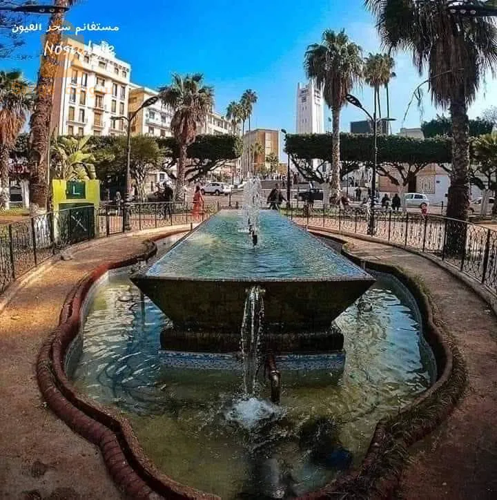 سكن للكراء اليومي مستغانم