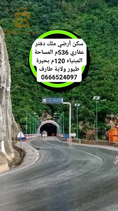 وسيط عقاري شط ولاية طارف