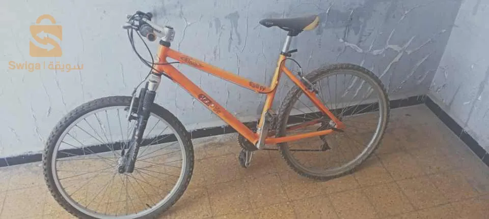 بلدية القليعة ولاية تيبازة