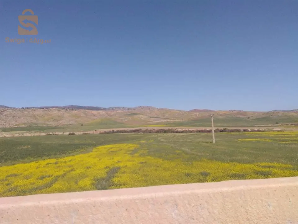 بيع ارض فلاحية