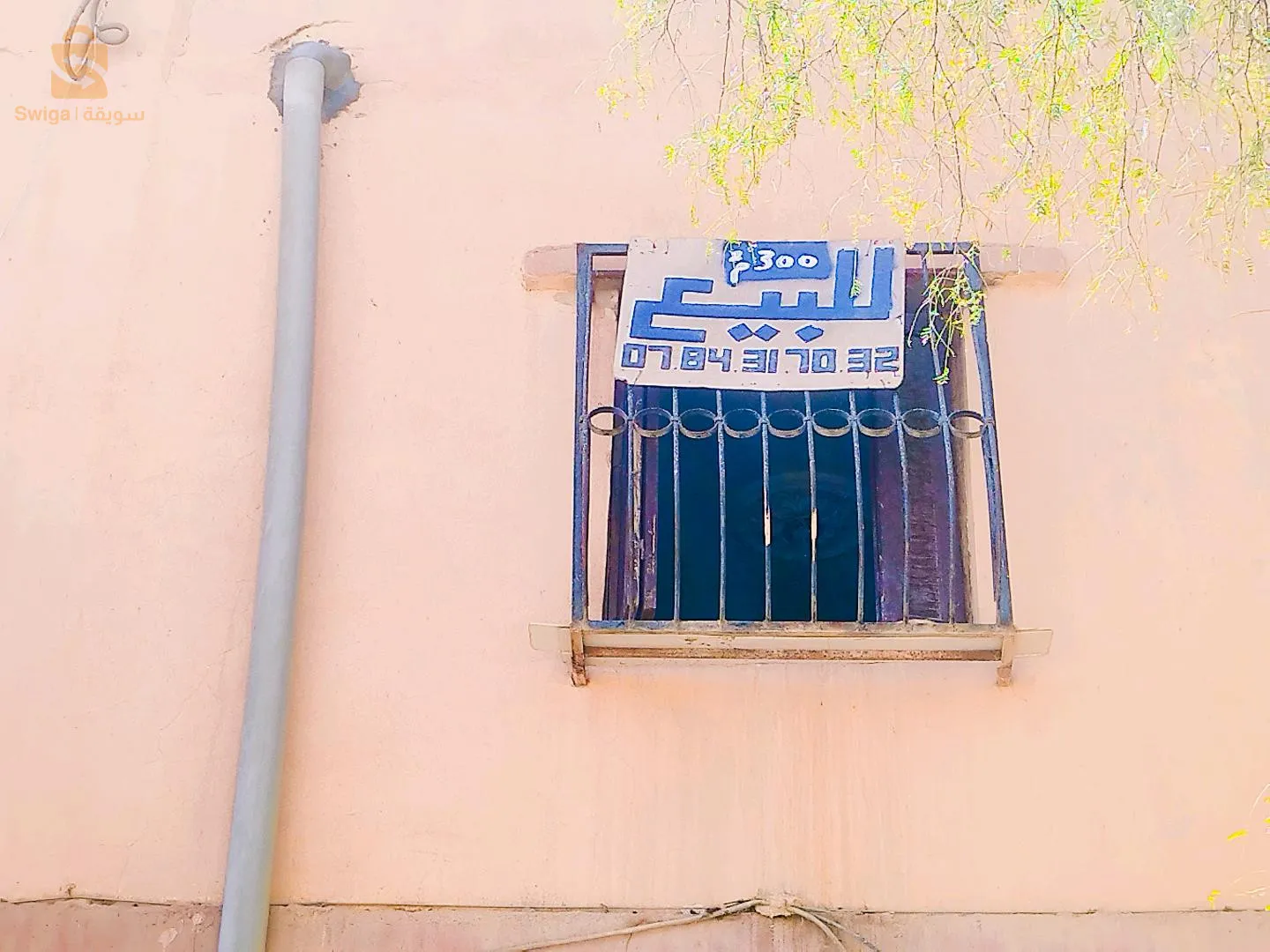 حي بربيح
