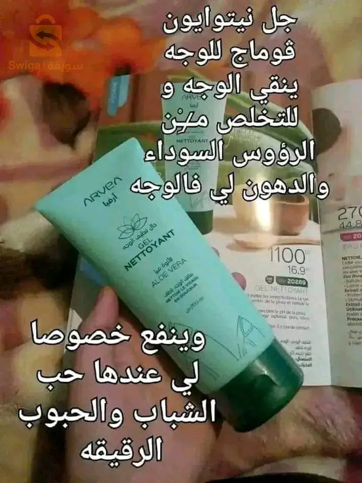 سبود تلمسان