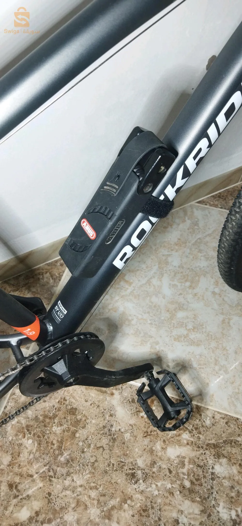 wilaya d'Ain temouchent béni saf